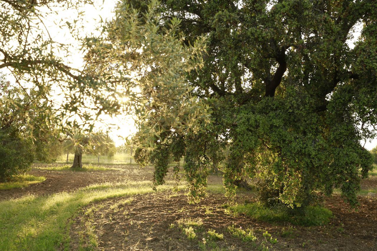 Fazenda Nova Country House Tavira Dış mekan fotoğraf